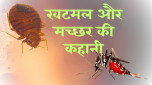 Read more about the article खटमल और मच्छर की कहानी