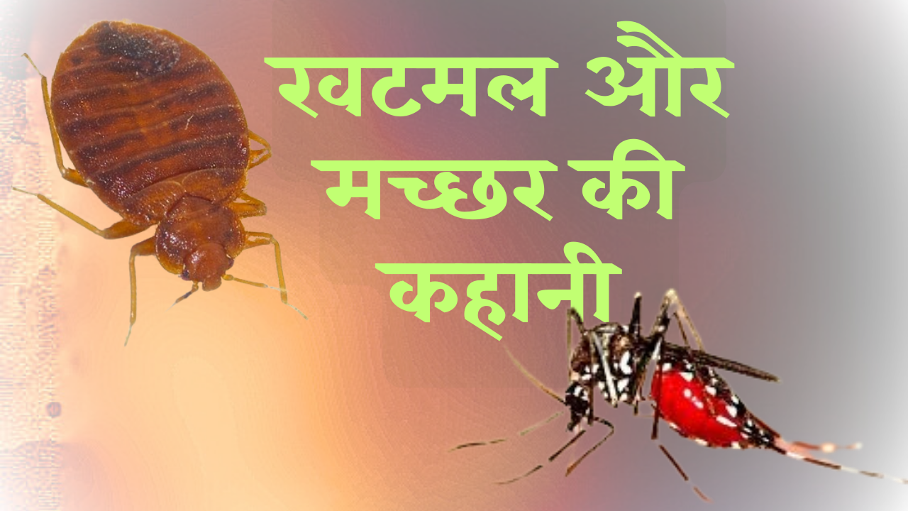 You are currently viewing खटमल और मच्छर की कहानी